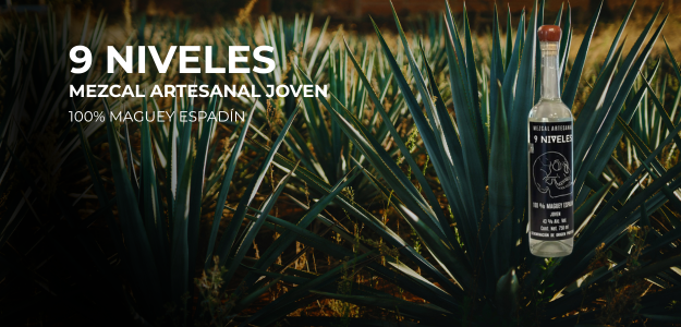 9 Niveles
